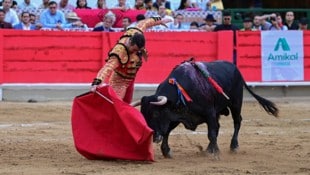Der sogenannte „Matador“ benutzt ein rotes Tuch, um den Stier zu reizen und einen Degen, mit dem ...