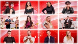 Wer darf Österreich beim ESC 2026 vertreten? Stimmen Sie ab!