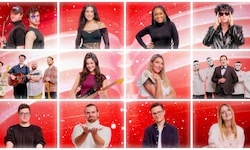 Wer darf Österreich beim ESC 2026 vertreten? Stimmen Sie ab!
