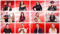 Wer darf Österreich beim ESC 2026 vertreten? Stimmen Sie ab!