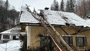 Das Dach durchbrach der Baum. 