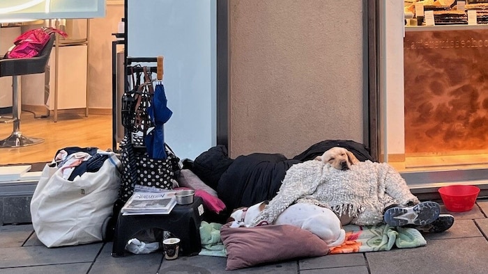 Ein Unterstandsloser am Graben mit Hund.