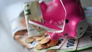 Schlachtet die Landesregierung die falschen Sparschweine? Die Oppositionsparteien sind davon ...