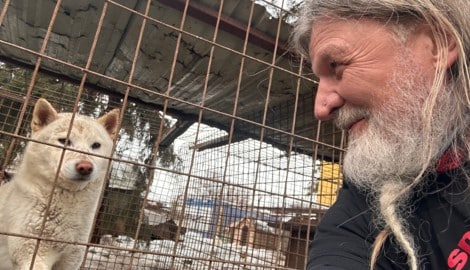 Nach mühevoller Anreise mit stundenlanger Wartezeit und strengen Kontrollen an der Grenze konnte ...