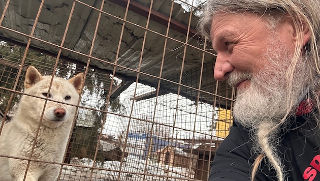 Nach mühevoller Anreise mit stundenlanger Wartezeit und strengen Kontrollen an der Grenze konnte ...