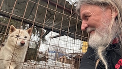 Nach mühevoller Anreise mit stundenlanger Wartezeit und strengen Kontrollen an der Grenze konnte ...