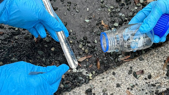 Bei Proben hat Greenpeace Asbest an mehreren Orten im Burgenland nachgewiesen.