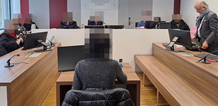 Die Angeklagte, vertreten von Anwalt Ernst Schillhammer (re.), bekannte sich vor Gericht „nicht ...