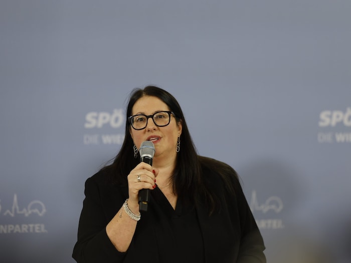 Vizebürgermeisterin Kathrin Gaál verlässt die Politik.