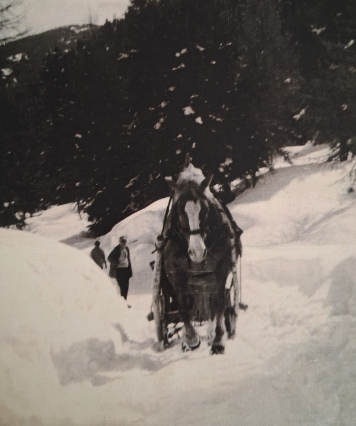Auch bei viel Schnee machte sich der Stubaier mit Pferd „Krona“ auf den Weg.