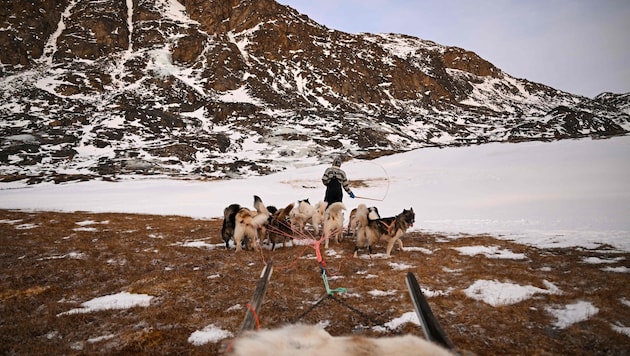 Grönland: Menschengemachte Erderwärmung führt in der Region zu mehr Wärme- und seltener ...