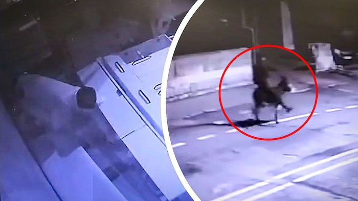 Der kuriose Einbruch in Kayseri sorgt für Aufsehen.