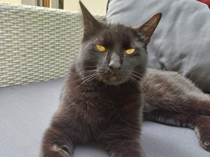 Wer hat Puppi gesehen?