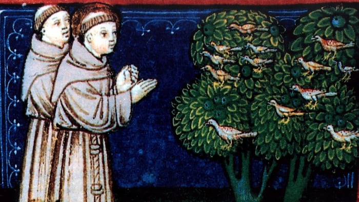 In Italien, als dessen Schutzpatron Franz von Assisi gilt, gehen die Feierlichkeiten auch nach ...