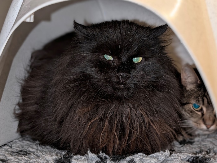 Willi fühlt sich im Heim so allein.