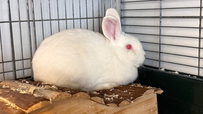 Kenny war einfach nicht mehr erwünscht – traurig!