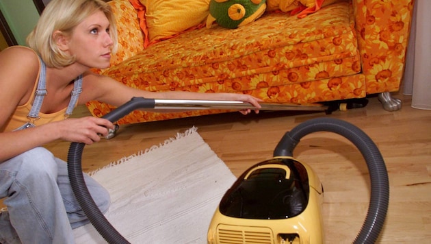 Nur mit dem Staubsauger wird es richtig sauber (Symbolbild)