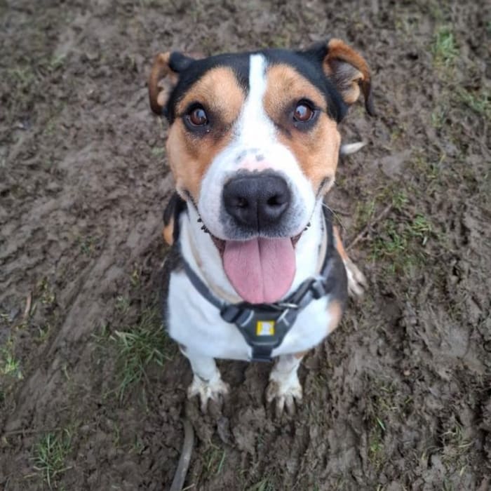 Wer schenkt mir einen schönen Einzelplatz?