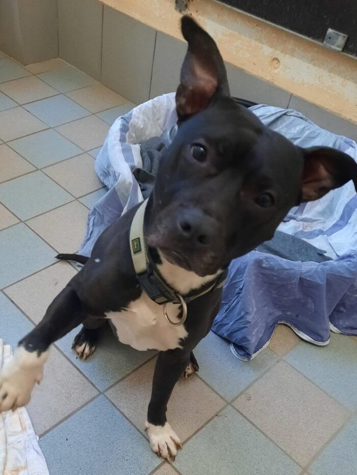 Wieso nur kommt niemand für mich?