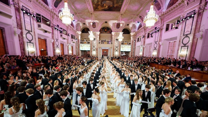 350 Paare debütierten in der Hofburg.
