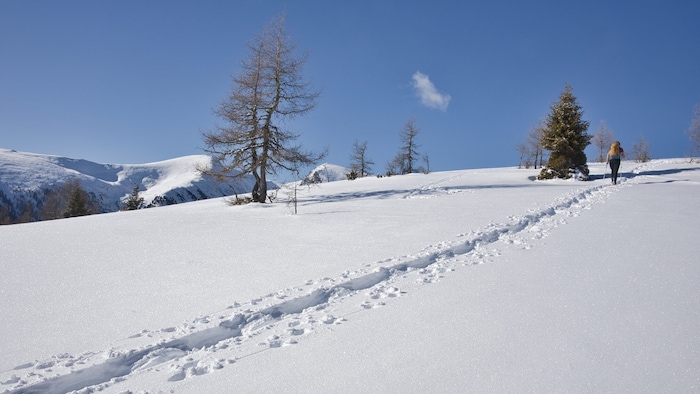 Strahlender Sonnenschein und pulvriger Schnee – schöner kann eine Tour nicht sein.