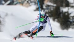 Petra Vlhova