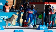 Ein Hund wollte scheinbar Olympia-Luft schnuppern und verfolgte die Athletinnen bis ins Ziel.