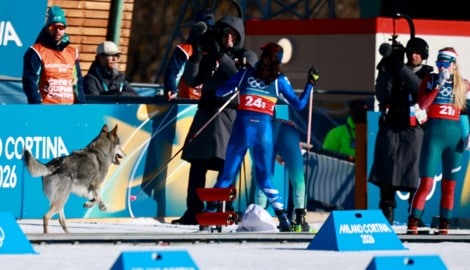 Ein Hund wollte scheinbar Olympia-Luft schnuppern und verfolgte die Athletinnen bis ins Ziel.