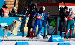 Ein Hund wollte scheinbar Olympia-Luft schnuppern und verfolgte die Athletinnen bis ins Ziel.