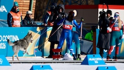Ein Hund wollte scheinbar Olympia-Luft schnuppern und verfolgte die Athletinnen bis ins Ziel.