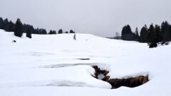 Das Kojenmoos in Riefensberg.