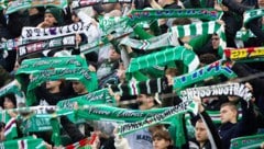 Nicht allen Rapid-Fans hat das gefallen ...