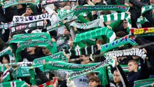 Nicht allen Rapid-Fans hat das gefallen ...