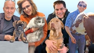 V. li. n. re.: Andreas Schweitzer mit „Sherlock“, Astrid Wagner mit „Jimmy“, Sascha Flatz mit ...