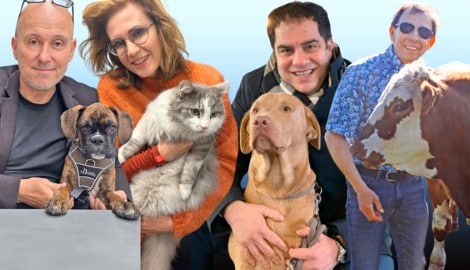 V. li. n. re.: Andreas Schweitzer mit „Sherlock“, Astrid Wagner mit „Jimmy“, Sascha Flatz mit ...