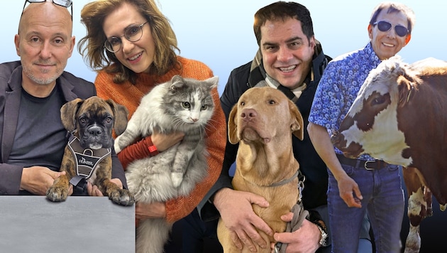 V. li. n. re.: Andreas Schweitzer mit „Sherlock“, Astrid Wagner mit „Jimmy“, Sascha Flatz mit ...