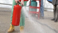 Sogar mutwillig und rein aus Spaß Feuerlöscher versprüht haben die Jugendlichen (Symbolfoto).