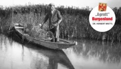 Fischer beim Reusenauslegen am Neusiedler See