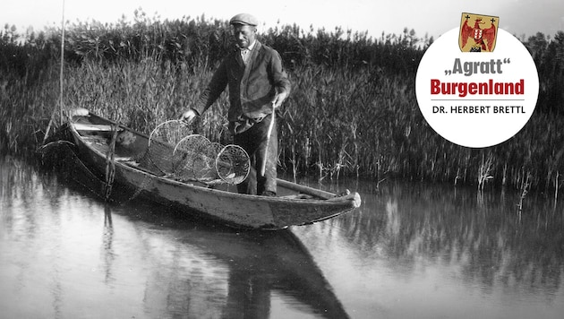Fischer beim Reusenauslegen am Neusiedler See