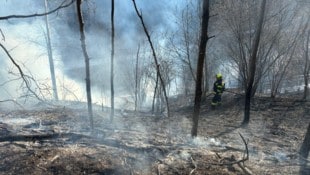 Auch ein angrenzender Wald war bedroht. 