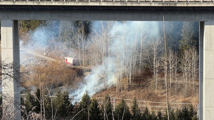 Der Feuerwehreinsatz dauerte gut zwei Stunden.