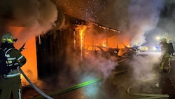 Mehrere Fahrzeuge fielen den Flammen zum Opfer.