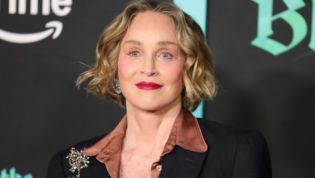 Sharon Stone sorgte nicht nur beim Wiener Opernball für Aufsehen. Jetzt teilte die ...