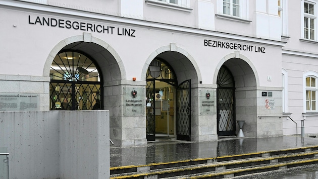 Der Jugendliche stand in Linz vor Gericht.
