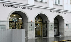 Die 30-Jährige musste sich am Landesgericht Linz verantworten.