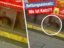 Die Katze versteckte sich schließlich neben den Gleisen, die Wiener Linien berichteten über den ...