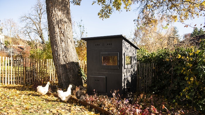 Ein echter Hingucker im Garten! Doch der Weg zur perfekten Hühner-Behausung war lang.