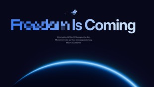 Über die Webseite freedom.gov sollen die Nutzer künftig mittels einer VPN-Funktion ihre Herkunft ...