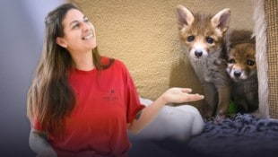 Ziel der Bewegung ist es, Tierhilfe nicht nur spontan, sondern strukturiert und professionell ...