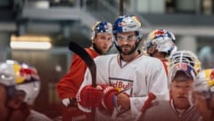 Voller Fokus auf den VSV! Die Eisbullen treffen am Freitag auf Villach.